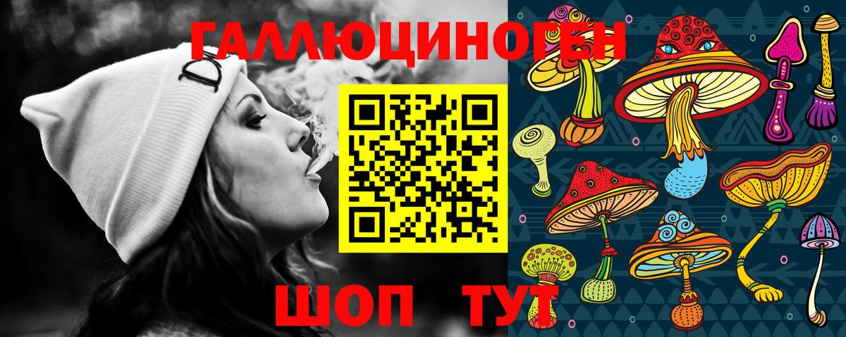 Вязники  Галлюциногенные грибы Cubensis  Вход с VPN 